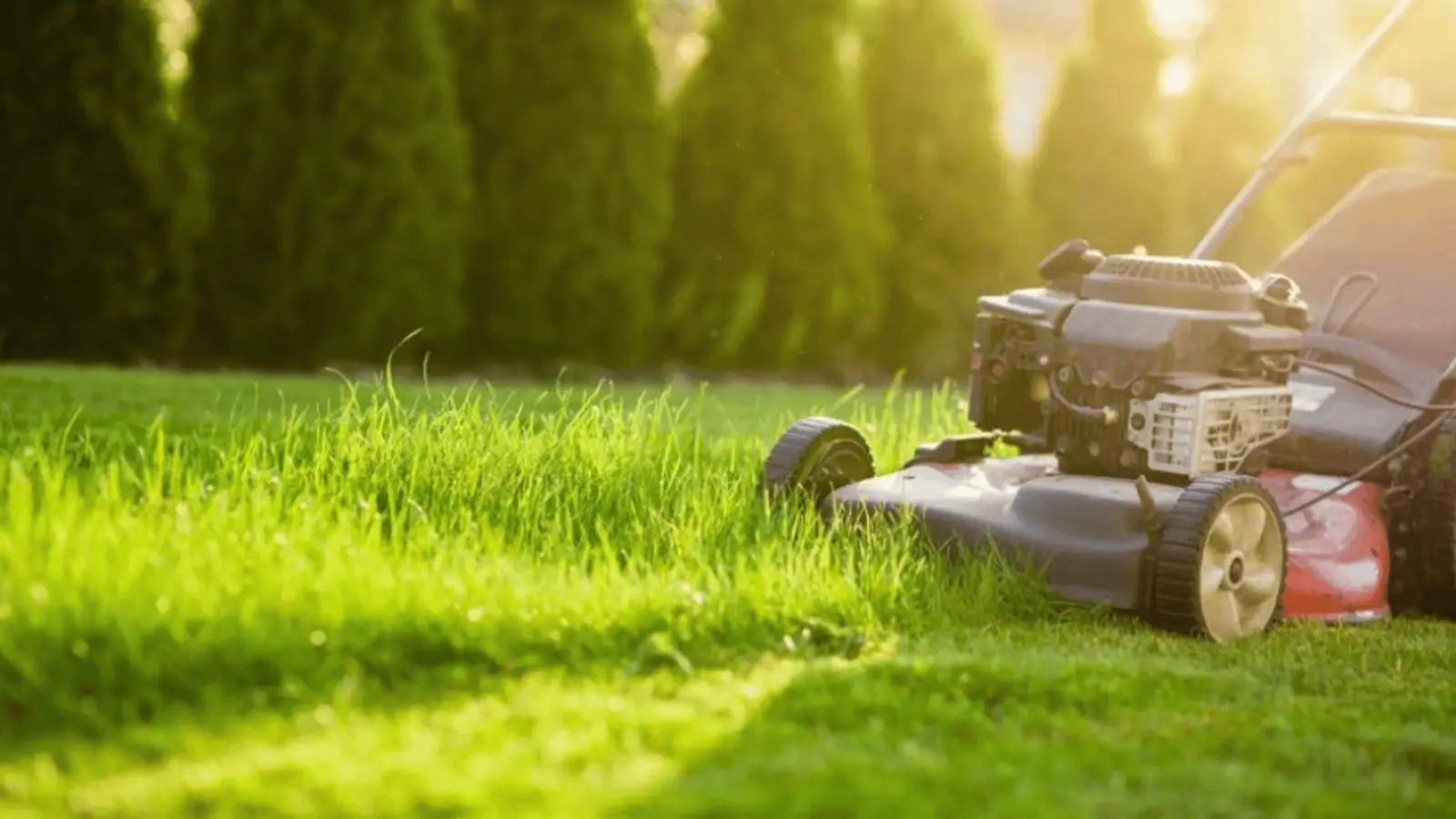 MDA Services — lawn care in Burradoo